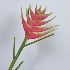 Floare decorativa Heliconia visinie 95 cm imagine