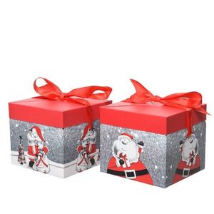 Cutie pentru cadou - Classic Santa Polybag - mai multe modele | Kaemingk imagine
