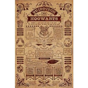 Poster - Quidditch At Hogwarts - Harry Potter | Pyramid International imagine