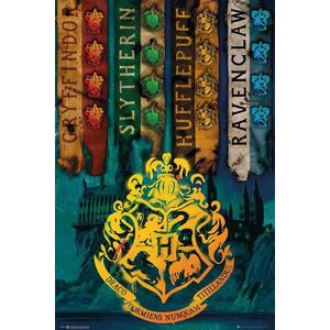 Poster maxi - Harry Potter, House Flags | GB Eye imagine