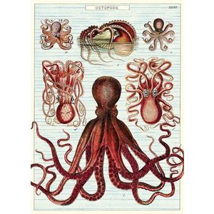 Poster - Octopods | Cavallini Papers & Co. Inc. imagine