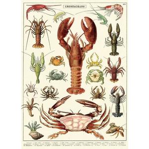 Poster - Crustaceans | Cavallini Papers & Co. Inc. imagine