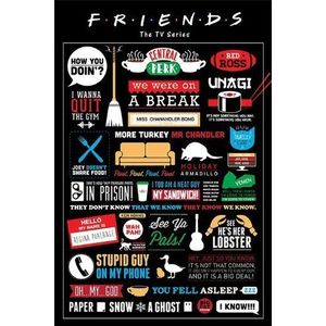 Poster maxi - Friends Infographic | Pyramid International imagine