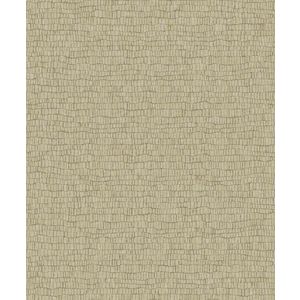 Tapet SKIN | Y6230403 imagine