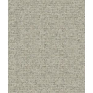 Tapet SKIN | Y6230404 imagine