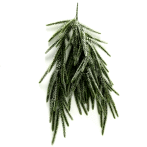 Decoratiune - Green Pine Tree | Boltze imagine