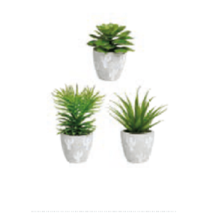 Set 3 plante decorative-Philo | Sema Design imagine