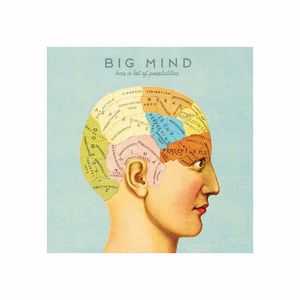 Tablou panza - Big mind | Chic mic imagine