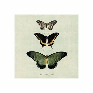 Tablou panza - Butterflies | Chic mic imagine