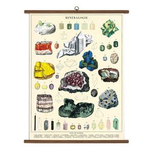 Poster vintage -Mineralogy | Cavallini Papers & Co. Inc. imagine