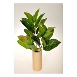 Ficus Elastica artificial, 45 cm imagine