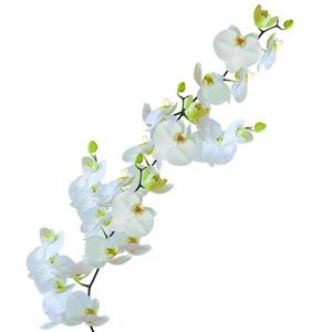 Sticker geam Orchid Kleine Wolke, static, decorativ, pentru baie, model orhidee, alb, 23x68cm, Cod 34009 imagine