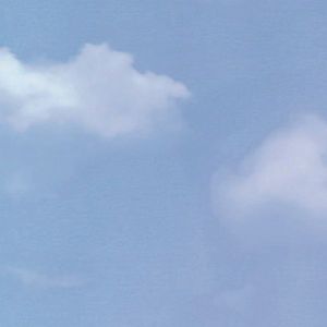 Autocolant Gekkofix, efect geam sablat, model nori, 45cmx2m imagine