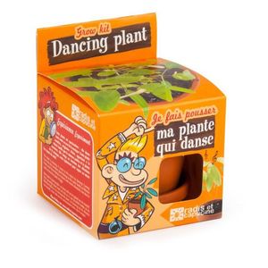 Kit pentru plantat - Plante dansatoare | Radis et Capucine imagine