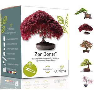 Kit pentru plante - 5 tipuri de bonsai | Cultivea imagine