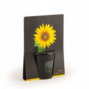Kit complet pentru plantat cu seminte de floarea-soarelui - Green is the new black | Radis et Capucine imagine