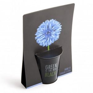Kit complet pentru plantat cu seminte de albastrea - Green is the New Black | Radis et Capucine imagine