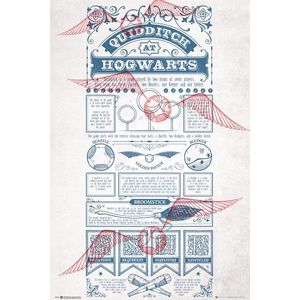 Poster - Harry Potter Quidditch at Hogwarts | GB Eye imagine