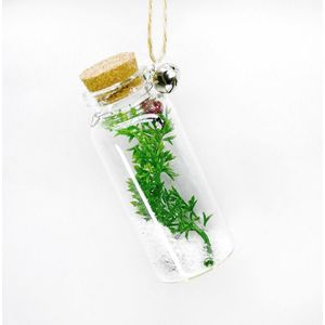 Decoratiune Craciun - Glass Bottle, crenguta verde | Everbright Gifts imagine