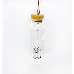 Decoratiune Craciun - Glass Bottle, colivie pasare | Everbright Gifts imagine