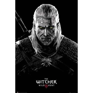 Poster - The Witcher, Wild Hunt: Toxicity Poisoning | GB Eye imagine