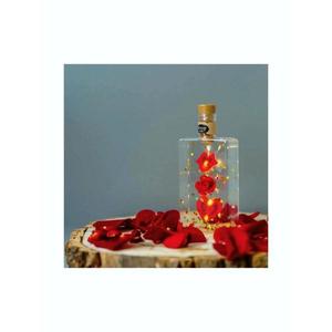 Lampa decor cu led, model sticla cu felicitare, mesaj Love, Martisor, 8 Martie, Ziua femeilor imagine