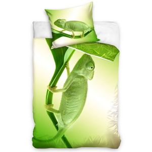 Lenjerie de pat din bumbac Cameleon verde, 140 x 200 cm, 70 x 90 cm imagine
