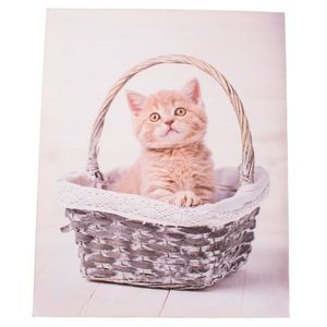 Tablou pe pânză Kittie in basket, 30 x 40 cm imagine