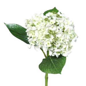 Hortensie artificială albă, 44 cm imagine