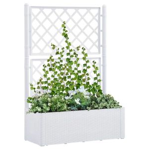vidaXL Strat înălțat grădină cu spalier și sistem automat udare, alb imagine