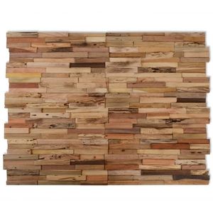 vidaXL Panouri de placare pereți, 10 buc., 1, 03 m², lemn tec reciclat imagine