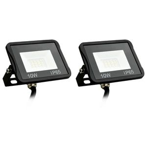 vidaXL Proiectoare cu LED, 10 W, 2 buc., alb rece imagine