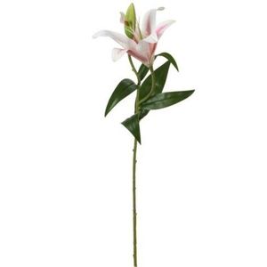 Floare artificiala Lily, 15x16x70 cm, poliester, alb/roz imagine