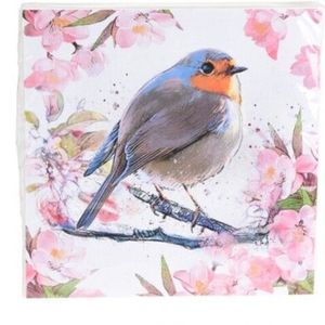 Servetele Bird, 33x33 cm, 20 buc, hartie, maro/albastru/portocaliu imagine
