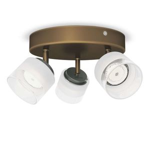 Philips 53333/06/16 - LED Lampa spot FREMONT 3xLED/4W/230V imagine