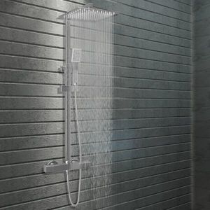 vidaXL Set de duș cu două capete, cu termostat, oțel inoxidabil imagine