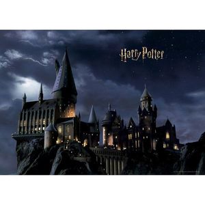 Foto-tapet copii Harry Potter 252 x 182 cm, 4 piese imagine