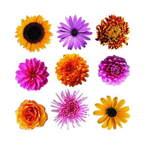 Decorațiune autocolantă Flowers, 30 x 30 cm imagine