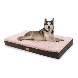Brunolie Balu, pat pentru câine, pernă pentru câine, lavabil, ortopedic, antiderapant, spumă cu memorie, dimensiunea L (100 × 10 × 65 cm) imagine