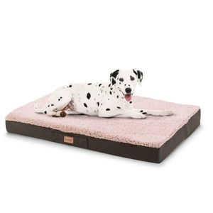 Brunolie Balu, pat pentru câine, pernă pentru câine, lavabil, ortopedic, antiderapant, spumă cu memorie, dimensiunea XL (120 × 10 × 72 cm) imagine