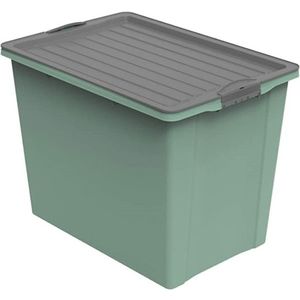 Cutie depozitare cu roti plastic verde cu capac negru Rotho Compact 70L imagine
