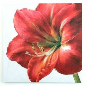 Tablou pe pânză Red flower, 50 x 50 cm imagine