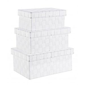 Set 3 cutii pentru depozitare, Nylon Bind, Bizzotto, 35.5x24x16 cm, otel/nailon, alb imagine