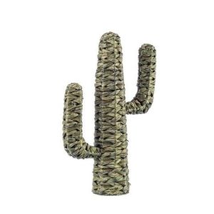 Decoratiune, Saguaro Cactus, Bizzotto, 59 cm, iarba de mare imagine