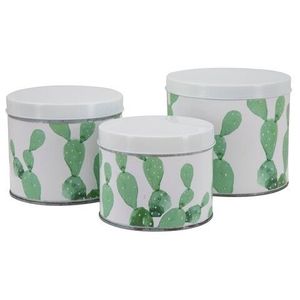 Set 3 recipiente cu capac Cactus, Mauro Ferretti, fier, alb/verde imagine