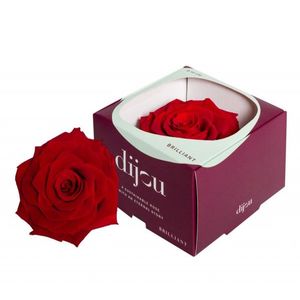 Trandafir ROSU Natural Criogenat Premium cu diametru 10cm + cutie cadou imagine