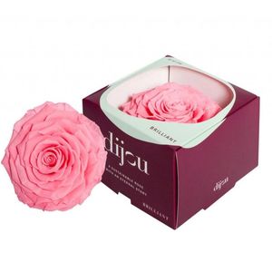 Trandafir ROZ DESCHIS Natural Criogenat Premium cu diametru 10cm + cutie cadou imagine