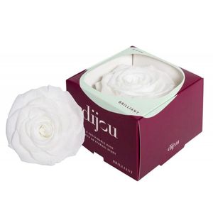 Trandafir ALB Natural Criogenat Premium cu diametru 10cm + cutie cadou imagine