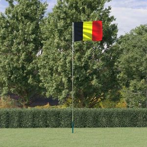 vidaXL Steag Belgia și stâlp din aluminiu, 5, 55 m imagine