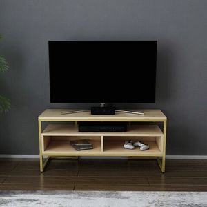Comoda TV, Retricy, Merrion, 110x35x49.9 cm, PAL, Aur / Stejar imagine